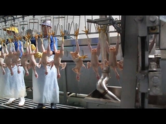 Una picadora de forma