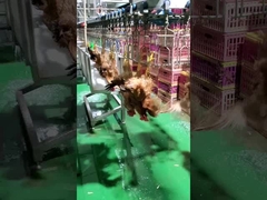 Máquina de matadero de aves de corral de alta capacidad