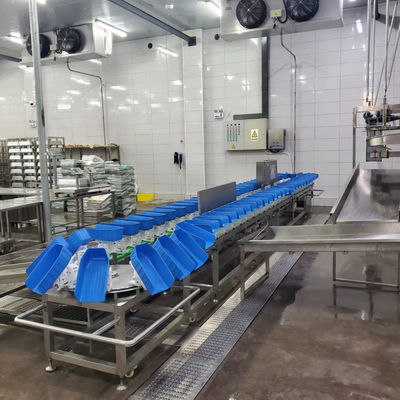 Placa de plástico Pollo Pato Cinturón de aves de corral Máquina de clasificación de peso para el matadero