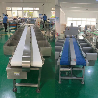 Máquina de clasificación por peso de 1000 - 6000BPH para la línea de sacrificio de pollos