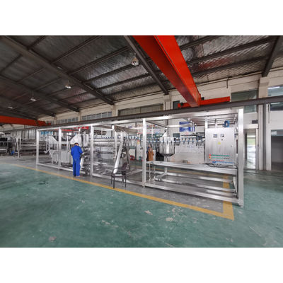 Máquina automática de sacrificio de pollos de 1000bph Equipo de desplume de aves de corral