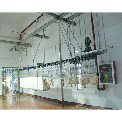 Máquina de sacrificio automática de pollo de 800 a 2000 bph Equipo de procesamiento de pollos de engorde