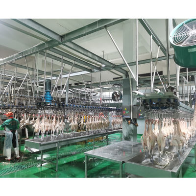 Máquina automática de extracción de carne de pollo