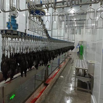 Máquina de sacrificio semiautomática simplificada Equipo de procesamiento de aves de corral a pequeña escala