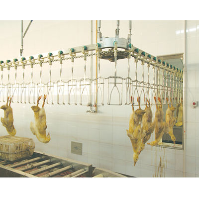 Equipo automático de sacrificio de aves de corral halal personalizado para el proceso de extracción de pollo