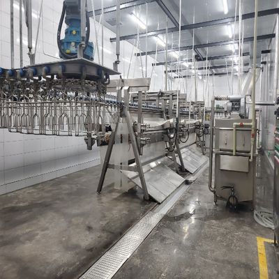 Máquina de sacrificio de aves de corral con instalación in situ o en línea y acero inoxidable 304