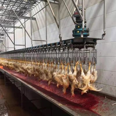 Máquina automática de calentamiento de aves de corral de acero inoxidable 304 Equipo de procesamiento de aves de corral