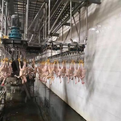 Máquina de matanza de acero inoxidable 304 Turquía