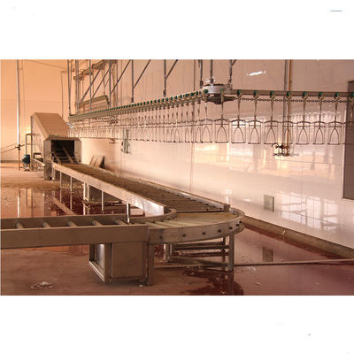 Máquina de sacrificio semiautomática para planta de procesamiento de carne de aves de corral