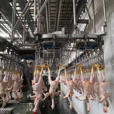 Máquina de sacrificio automática de 220V / 380V línea de procesamiento de sacrificio de aves de corral