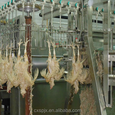 Máquina de procesamiento de aves de corral de 380V/220V de tensión para el desplume de pollos y el sacrificio halal