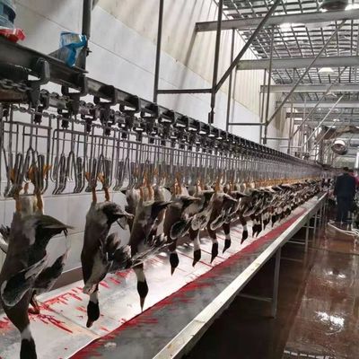 Equipo de sacrificio de aves de corral con certificación CE Línea de sacrificio de aves de corral de pato 600 kg