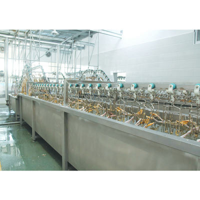 Máquina de sacrificio de patos de 3000BPH 380V / 220V Equipo de procesamiento de aves de corral