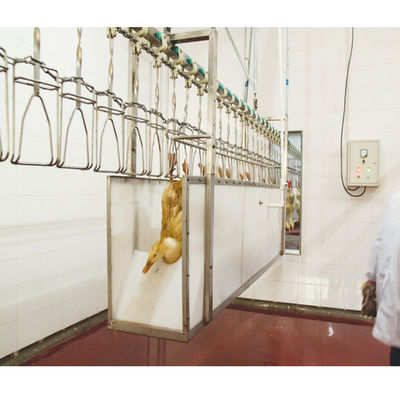 Máquina de procesamiento de sacrificio de aves de corral de 220V / 380V para el pollo pato ganso