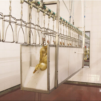 Máquina automática de sacrificio de pollo de 100 kg para procesar aves de corral rápida y precisa