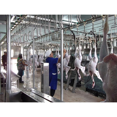 Equipo de matanza de pollos de acero inoxidable 304 con voltaje de 380 V y fácil mantenimiento