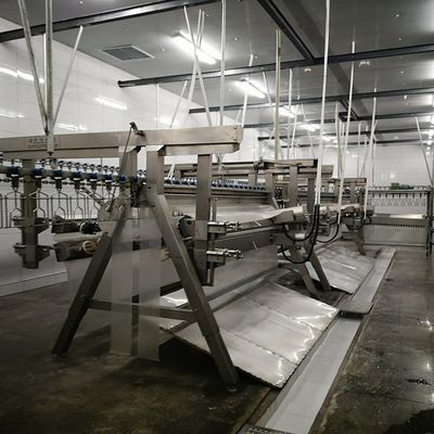 Máquina de sacrificio automática Halal Máquina de preenfriamiento para planta avícola 100KG