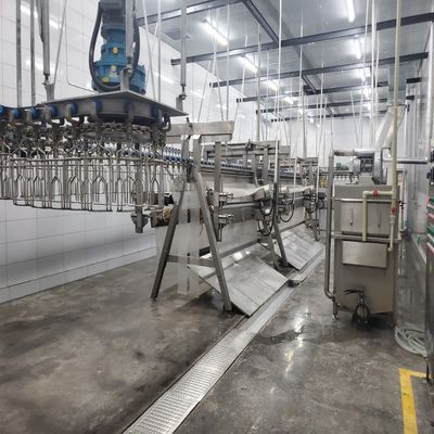 6000 b/h de aves de corral línea de sacrificio matadero para mejorar la productividad