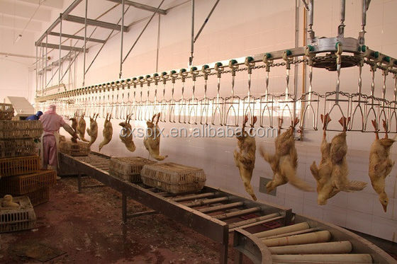 Máquina 304 220V de acero inoxidable de Duck Goose Processing Line Slaughter del pollo