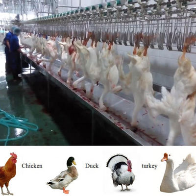 Máquina de matanza de pollo de aves de corral completa y de funcionamiento completo