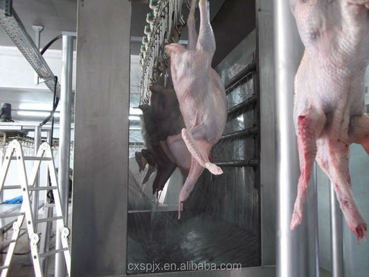 Máquina de sacrificio de patos homologada por el CE para la línea de procesamiento de carnicería de aves de corral
