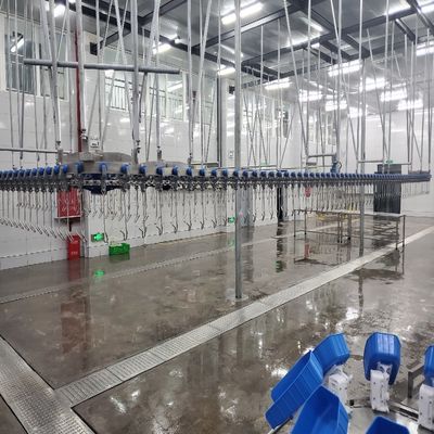 500PCS Equipo automático de matadero de aves de corral línea de cría de pollo de acero inoxidable