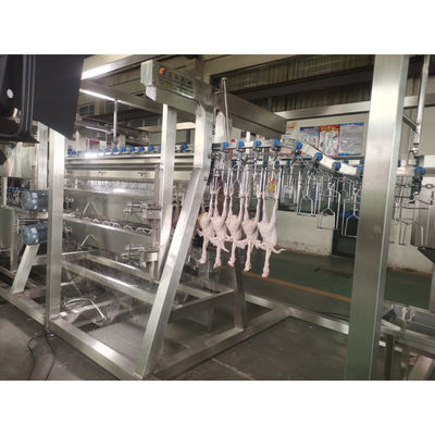 200BPH 300BPH 500BPH Automático de matanza de corte de ganso pato de pollo matadero de matanza de la línea de procesamiento del sistema de máquina