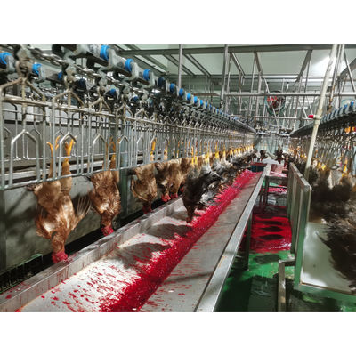 China Máquina de matanza de pollos de aves de corral de acero inoxidable 304 con capacidad de 0f 2000BPH