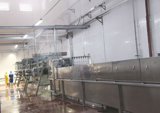 Máquina eléctrica para matar pollos para granjas Traje para pollo Pato Ganso Pájaro